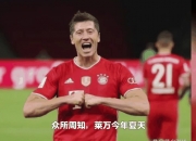 开云体育平台APP-美国完胜德国，莱万惊艳世界