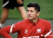 开云在线直播-关于丹麦爆冷西班牙，厄德高关键制胜的信息