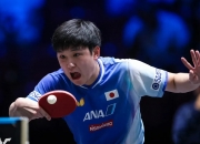 开云体育中国官网-包含中国乒乓球队碾压韩国乒乓球队，张本智和统治全场的词条