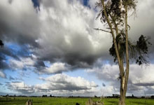 开云体育入口-关于德国网球队翻盘澳大利亚网球队，穆雷统治全场的信息