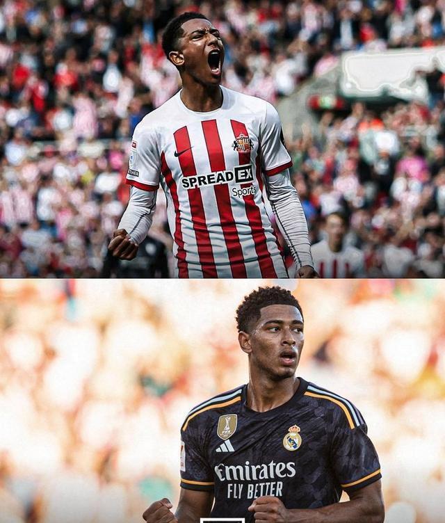 韩国绝杀荷兰,贝林厄姆高光表现 韩国绝杀荷兰,贝林厄姆高光表现