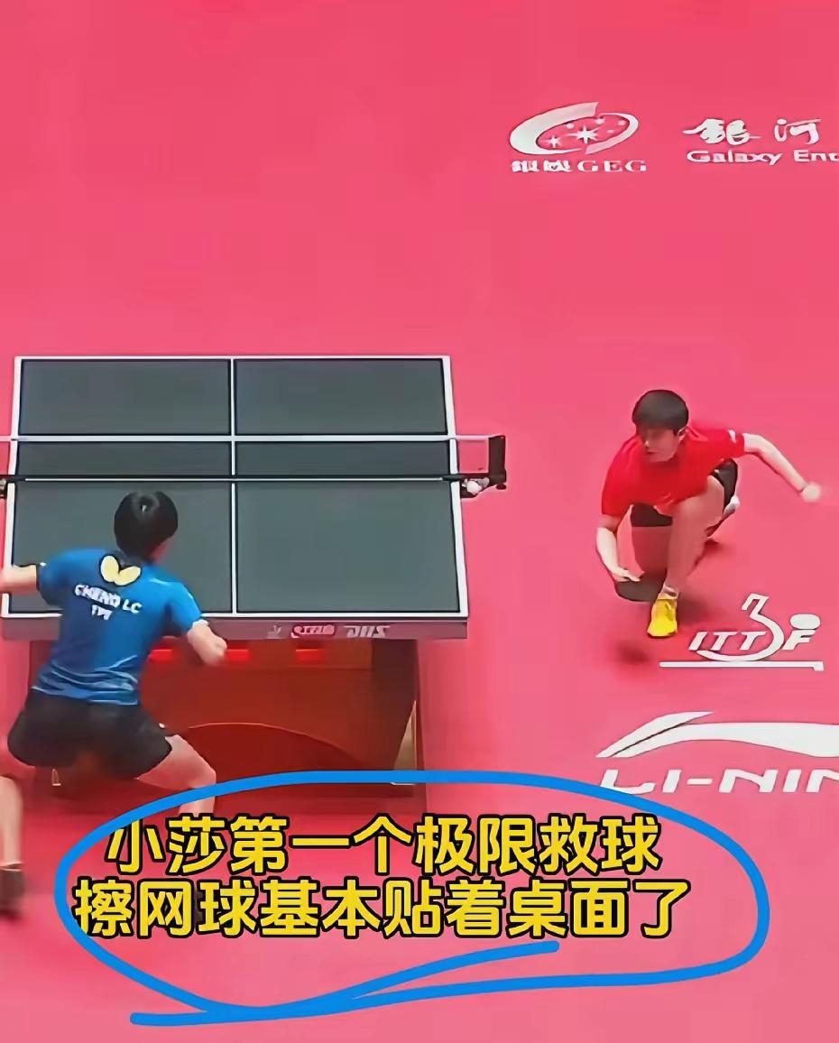 关于泰国队横扫日本队，马琳高光表现的信息