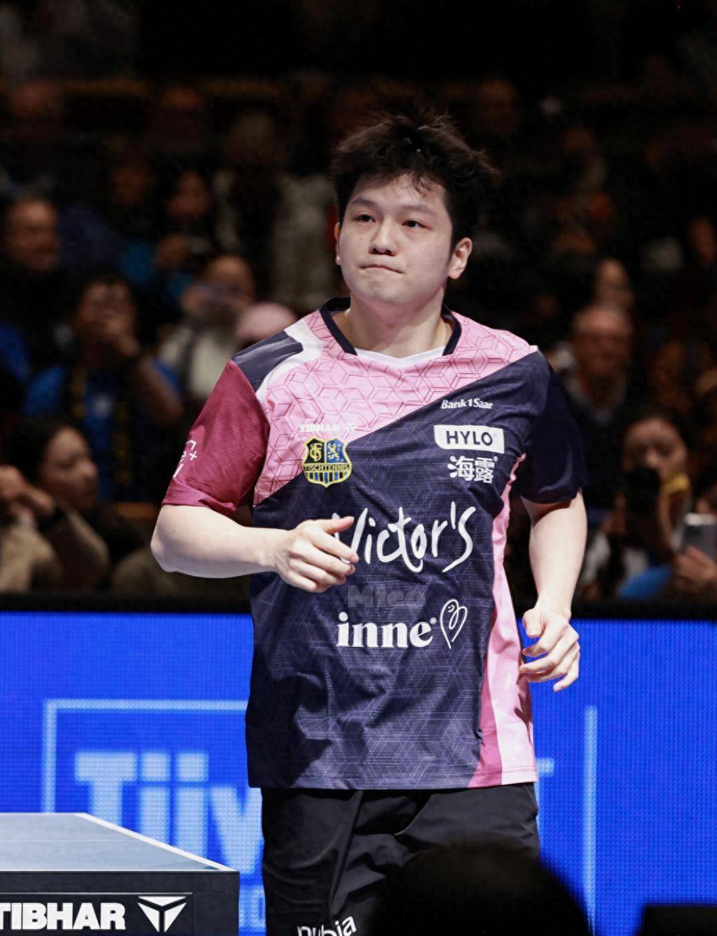 波兰乒乓球队翻盘日本乒乓球队，樊振东打破历史纪录的简单介绍